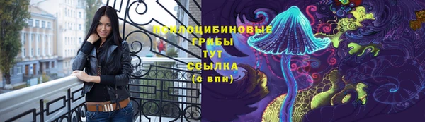 мдма Киреевск