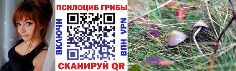 Галлюциногенные грибы мухоморы Купить закладки Елабуга